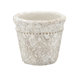 <img class='new_mark_img1' src='https://img.shop-pro.jp/img/new/icons15.gif' style='border:none;display:inline;margin:0px;padding:0px;width:auto;' />¿ʪ󤻿 饤󤻿å11ʬȭƤʤѡۡ͸ 