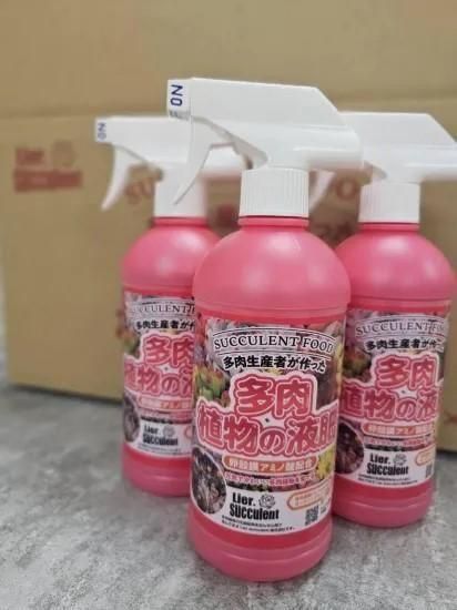 Lier.succulent多肉通販サイト-多肉農家オンラインショップ-