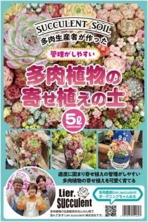 Lier.succulent多肉通販サイト-多肉農家オンラインショップ-