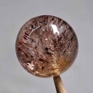 ワールドハウス