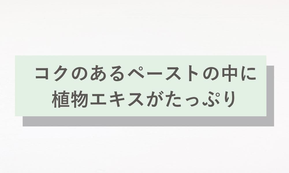 送料無料】クレパシー クレイウォッシュ 3本セット - 《公式