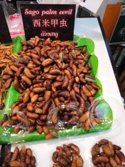 ココナッツワーム 300g Sunfoods