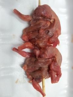 ココナッツワーム 300g Sunfoods