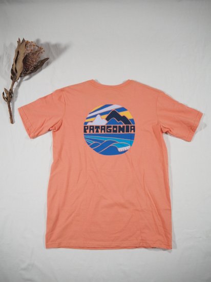 patagonia Boys' Graphic Organic T-Shirt 62151 0