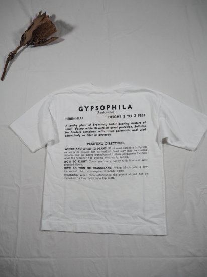 Niche.  FLOWER SEEDS Tシャツ [GYPSOPHILA] GYPSOPHILA 1