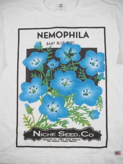 Niche.  FLOWER SEEDS T [NEMOPHILA] NEMOPHILA 0