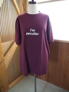 <img class='new_mark_img1' src='https://img.shop-pro.jp/img/new/icons16.gif' style='border:none;display:inline;margin:0px;padding:0px;width:auto;' />FUNG  S/S BASIC TEE [I'M PECULIAR] 