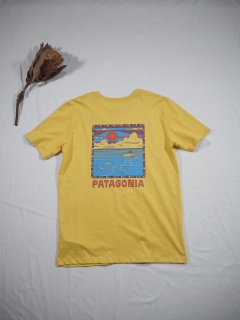 patagonia K'S REGENERATIVE ORGANIC CERTIFIED COTTON GRAPHIC T-SHIRT[SMTY] 