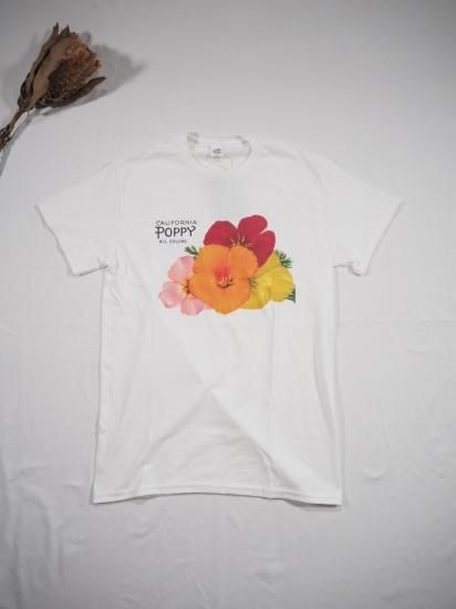 Niche.  FLOWER  T  FLOWER 4