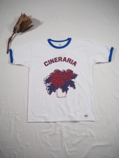 Niche.  RINGER  T [CINERARIA] 