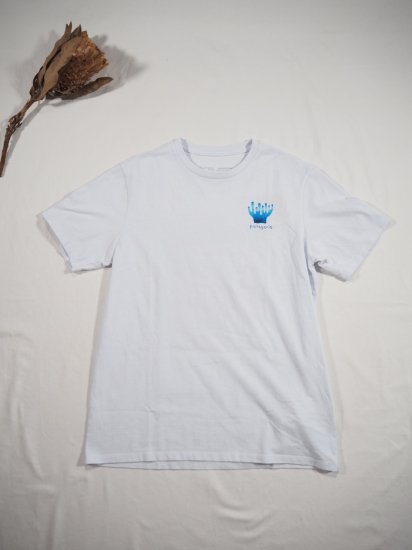 patagonia NANAIRO OCEAN RESPONSIBILI-TEE 37705 1