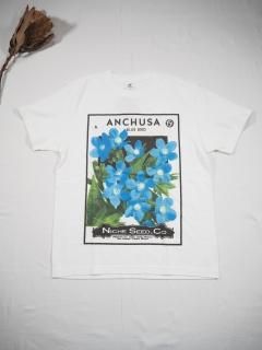 Niche.  FLOWER SEEDS Tシャツ [ANCHUSA] 