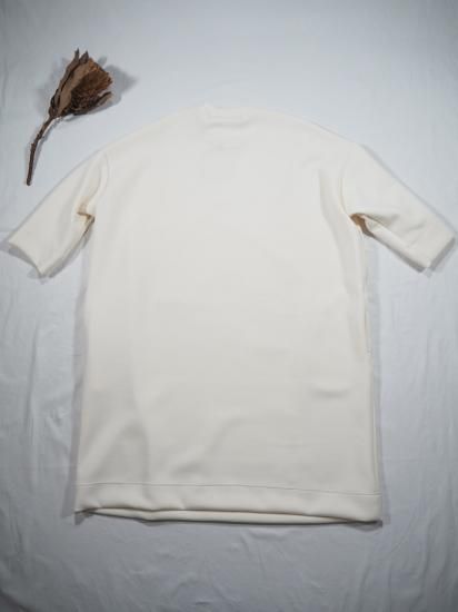 Squady  ܡŷԡ 909-1873 5