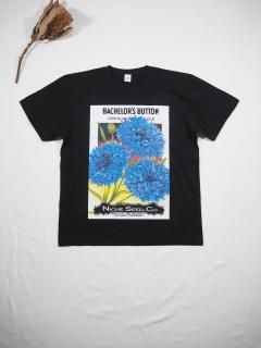 Niche.  CASA FLOWER SEEDS T [BACHELOR'S BUTTON] 