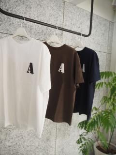 AMERICANA  եƹץT 