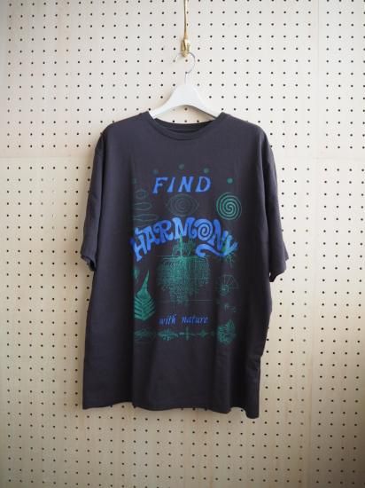 patagonia M'S BALANCE ORGANIC T-SHIRT 37823 0