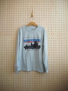 <img class='new_mark_img1' src='https://img.shop-pro.jp/img/new/icons12.gif' style='border:none;display:inline;margin:0px;padding:0px;width:auto;' />patagonia K'S L/S GRAPHIC T-SHIRT [SLVI] 