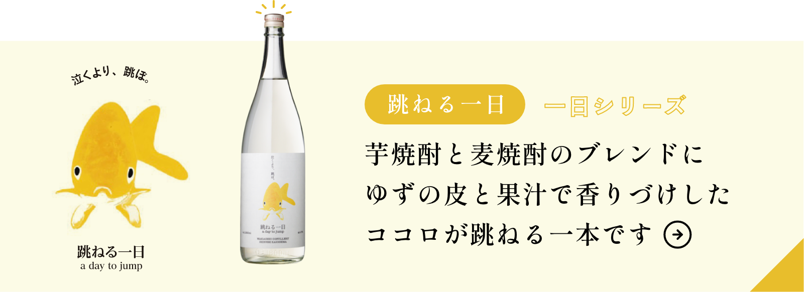 千亀女 -芋製-（25%・720ml） - 若潮酒造 ｜ オンラインショップ