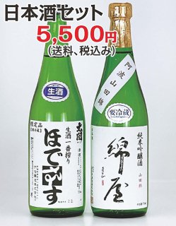 【送料込】日本酒セット
