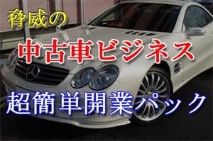 素人からはじめる簡単中古車開業マニュアル 素人からはじめる簡単中古車開業マニュアル