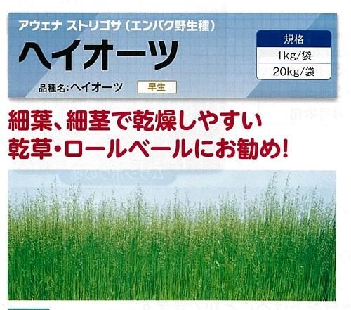 ヘイオーツ（雪印） - オガワのタネ オンラインショップ