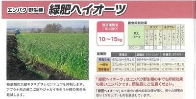Amazon.co.jp: えん麦種子 ヘイオーツ (雪印) 3kg : DIY・工具