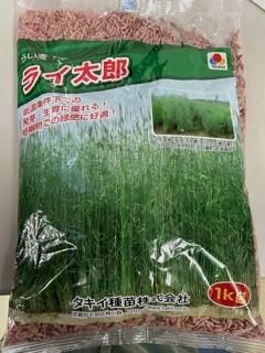 ライ太郎（超極早生 タキイ） - オガワのタネ オンラインショップ