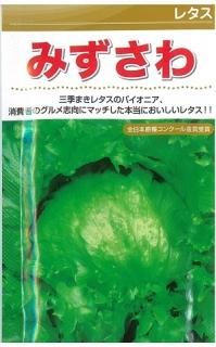 縞無双H シール - オガワのタネ オンラインショップ