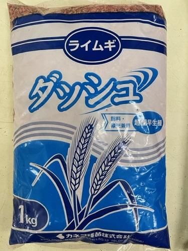 ダッシュ（超極早生）（カネコ） - オガワのタネ オンラインショップ