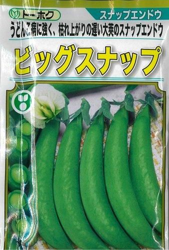 ビッグスナップ - オガワのタネ オンラインショップ