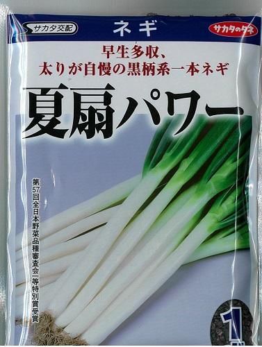 夏扇パワー - オガワのタネ オンラインショップ
