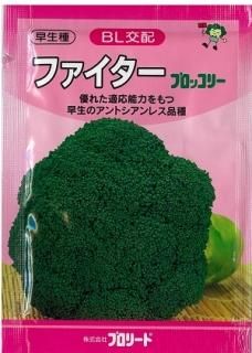 ブロッコリー - オガワのタネ オンラインショップ