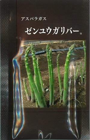 おまとめお得アスパラ苗『ゼンユウガリバー80本』 国華園オンラインショップ / 有用植物苗 アスパラガス ゼンユウ