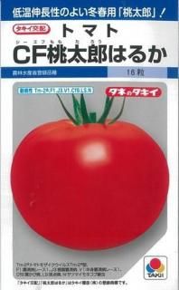 大玉トマト、中玉トマト - オガワのタネ オンラインショップ