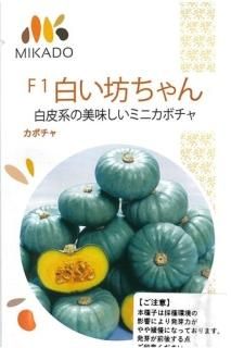 ミニかぼちゃ オガワのタネ ミニかぼちゃ オガワのタネ