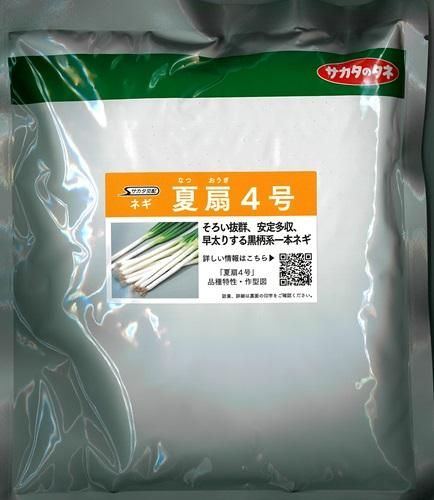 夏扇4号 - オガワのタネ オンラインショップ