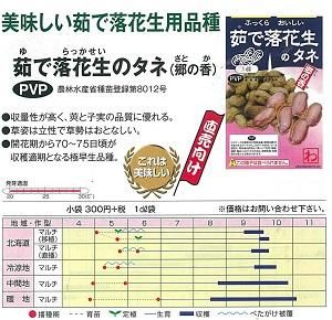 落花生種子　郷の香 2kg 落花生・郷の香| 種・苗・ガーデニング用品の【タキイネット通販】
