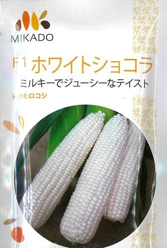 ホワイトショコラ - オガワのタネ オンラインショップ