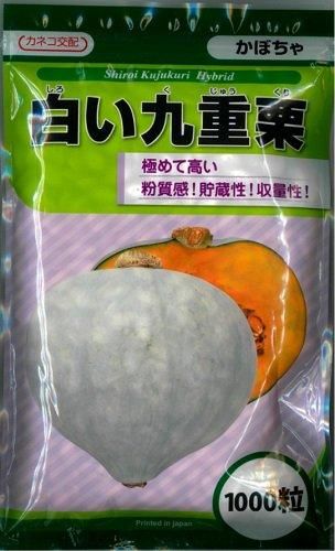 白い九重栗 10粒 数量限定品種 オガワのタネ 白い九重栗 10粒 数量限定品種 オガワのタネ