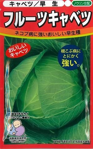楽天市場】日本農林社 キャベツ 種 フルーツキャベツ キダネ2500