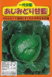 楽天市場】キャベツ 2玉 有機栽培 冷蔵便 鹿児島県産 1玉700g