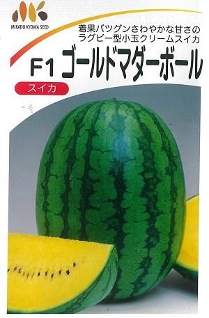 ゴールドマダーボール - オガワのタネ オンラインショップ