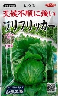 レタス - オガワのタネ オンラインショップ