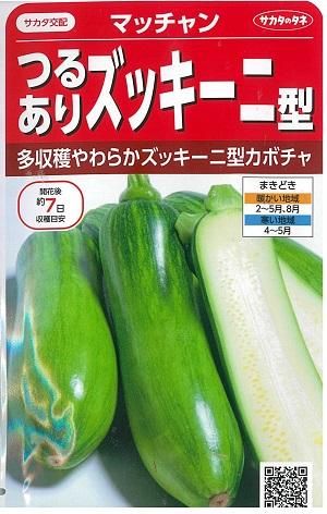 マッチャン 韓国カボチャ 8粒 2021年品切 オガワのタネ マッチャン 韓国カボチャ 8粒 2021年品切 オガワのタネ