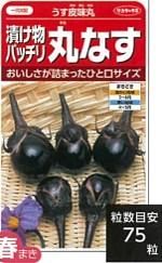 ミニ茄子 - オガワのタネ オンラインショップ