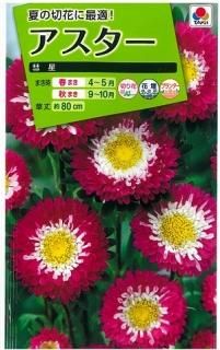花 オガワのタネ 花 オガワのタネ