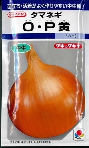 玉ねぎ苗 OP黄 2000本 O・P黄 - オガワのタネ オンラインショップ