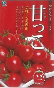 トマトベリーオレンジ - オガワのタネ オンラインショップ トマトベリーオレンジ - オガワのタネ オンラインショップ