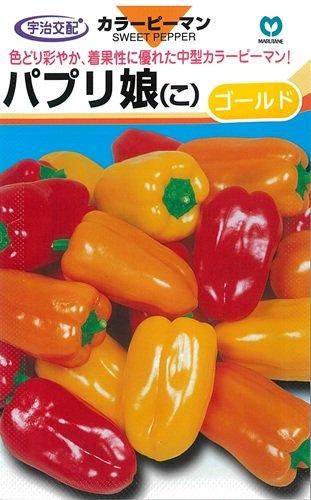 パプリ娘ゴールド 5粒 オガワのタネ パプリ娘ゴールド 5粒 オガワのタネ