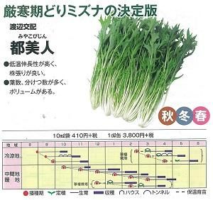 商品検索 - オガワのタネ オンラインショップ